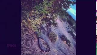 IMG 9452