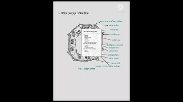 class six assignment 3rd week science 2022 | ৬ষ্ট শ্রেণির তৃতীয় সপ্তাহের বিজ্ঞান এসাইনমেন্ট #shorts