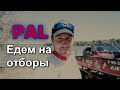 Мы идём в отборы PAL!