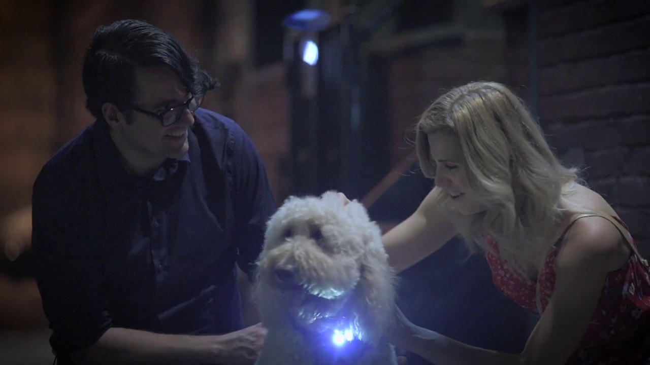 Headlight Harness Commercial 1 YouTube