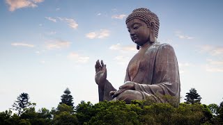 Finding Solace in Buddha's Teachings: Words of Wisdom for Hard Times