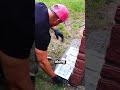 The Safe Way to Remove a Skunk