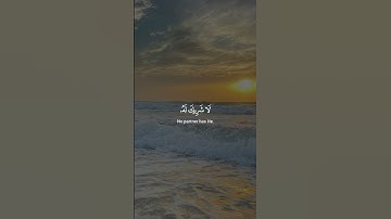 تلاوة أكثر من رائعة بصوت القارئ الشيخ ياسر الدوسري