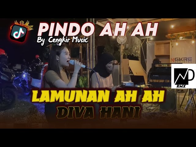 PINDO AH AH PASANG KANG TANPO WANGENAN Voc Diva Hani | DJ LAMUNAN Ah Ah VIRAL TIKTOK 2024 class=