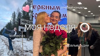 неделя перед отчетником и весёлые будни в 11 классе