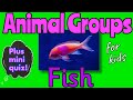 Understanding Fish: A Dive into Aquatic Life