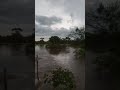 O NORDESTE,CHUVA O SERTÃO ESTÁ EM FESTA🏜️🏜️🏜️🏜️🏜️🏜️ #nordeste #roça #viral #toada