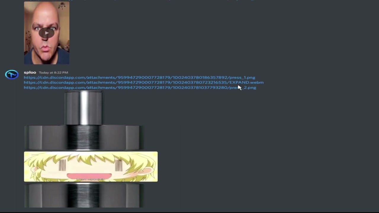 cursed discord webm video expect i hydralic press it YouTube