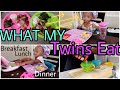 WHAT MY TWINS EAT IN A DAY! Easy (SOME) Healthy Ideas For Toddlers!