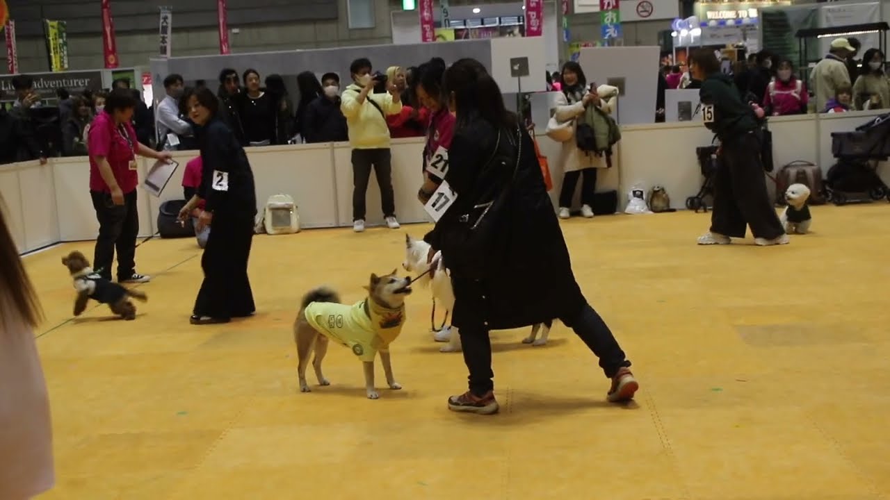 ペット博横浜２０２６イベント広場から260110