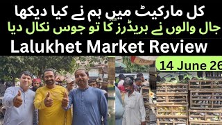 Kal Market Mai Maine Kiya Daikha|| Lalukhet Market Latest Review|| Asif Birds Farm 