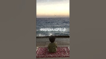 ماتيسر من سورة المؤمنون #ياسر_الدوسري #القرآن_الكريم #yasseraldossary #quran #fyp