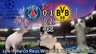 CAT MEMES FOOTBALL - PSG VS Borussia Dortmund 0-1 Champions League 23/24 Semi-Final Highlights