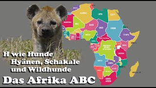 Afrika ABC, H wie Hunde, Hyänen und Schakale