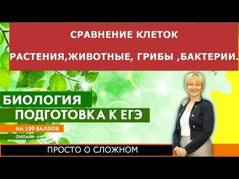 Клетки растений, животных, грибов и бактерий. Сравним.Подготовка к ЕГЭ и ОГЭ по биологии