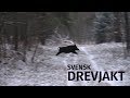 Svensk Drevjakt