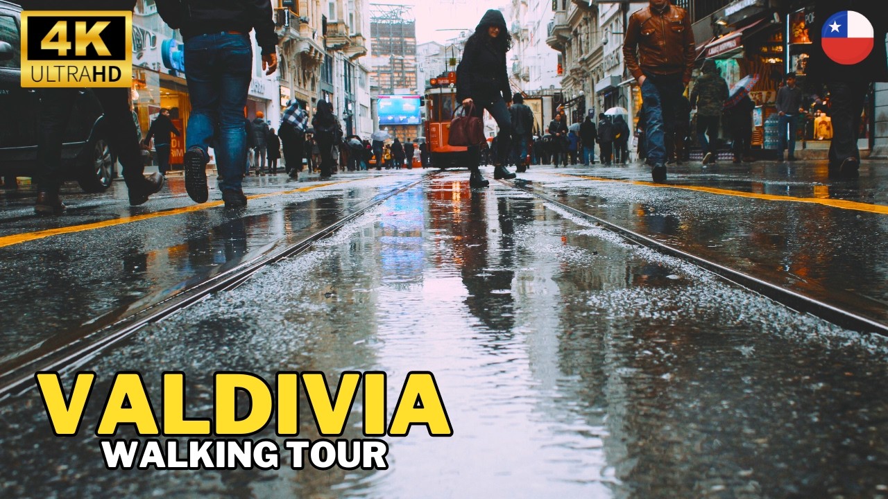 (4K) Walking Tour bajo la lluvia por el centro de Valdivia ☔ | Relájate con este paseo🚶‍♂️