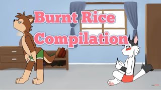 Video voorbeeld van "Burnt Rice - Furry Meme Compilation"
