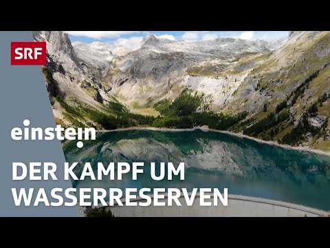 Video: 15 großartige Wassernamen für Ihren Neufundländer