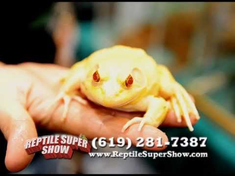 Reptile Super Show January 7-8, 2023 Los Angeles, Ca @ Pomona Fairplex