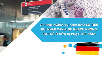 Vi phạm nghĩa vụ khai báo số tiền khi nhập cảnh: Du khách không cư trú ở Đức bị phạt thế nào?