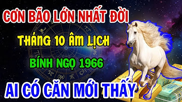 RÚNG ĐỘNG! Bính Ngọ 1966 Tháng 10 Âm: Đối mặt cơn bão lớn nhất đời, Ai Hãm Hại, Ai Giúp Đỡ sẽ Biết