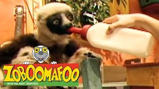 🐒 Zoboomafoo 🐒 122 | Pets - Full Episode | Kids TV Shows
