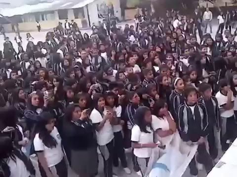 Colegio Nacional Andres Bello Campanas 2015 2016 Youtube