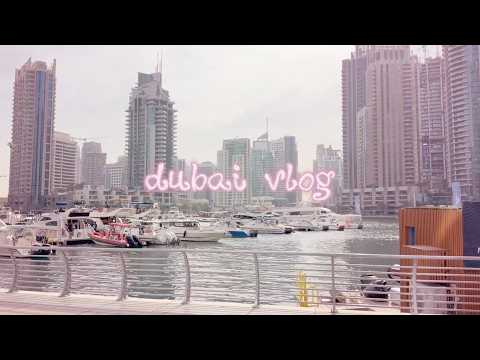 dubai + abu dhabi vlog ♡