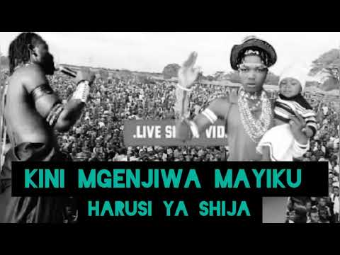 LIMBU LUCHAGULA FT MAYIKU HARUSI YA SHIJA 0680767671 BY MBASHA STUDIO
