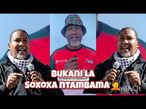 Nelson Mandela Grandson Mandla Kidnapped 9