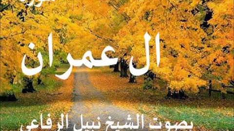 سورة ال عمران بصوت الشيخ   نبيل الرفاعي 3