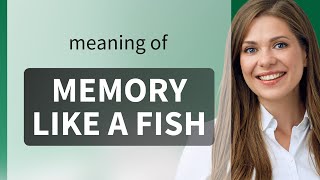 Unlocking the Mystery: The Meaning Behind "Memory Like a Fish"