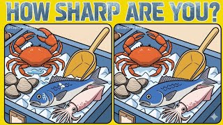 How Sharp Are Your Eyes Find the 3 Differences! 