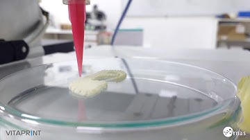 VITAPRINT 3D Bioprinting