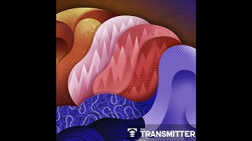 Perimenopause: An important-and understudied-transition for the brain