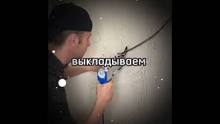 Жиза #Бьюсобак #Мемы #Memes #Shorts #Youtubeshorts