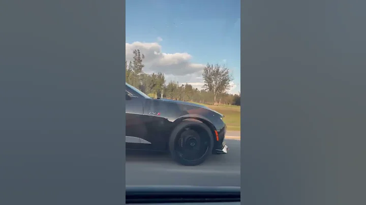 C6 Corvette vs LT1 Camaro