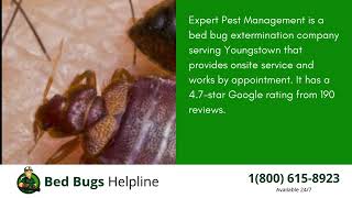 Top 3 Bed Bug Removal in Youngstown