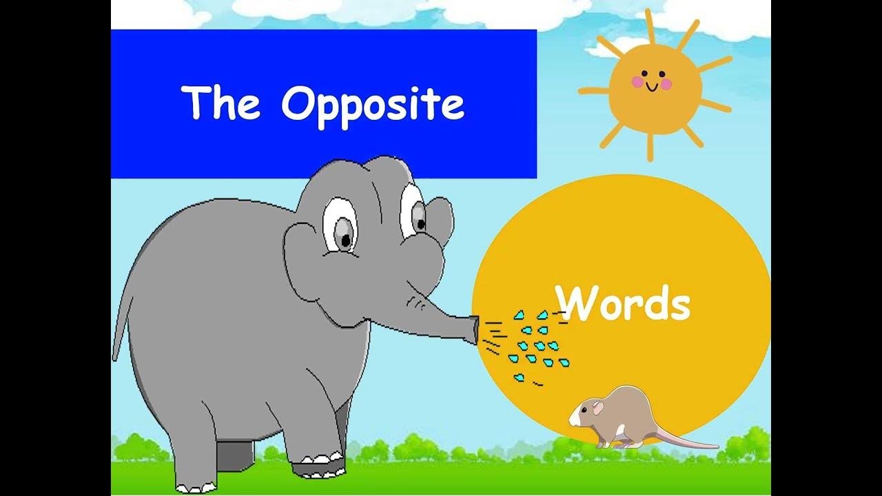 Opposite Of Wild, Antonyms of Wild, Meaning and Example Sentences Antonym  opposite words contradict ea…