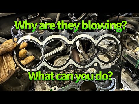 Honda 1.5t head gasket issues and what you can do about it.
