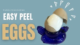 Easy peel eggs! Idea from aymlessleigh84 on TT! #eggs #chickens #purelychickens