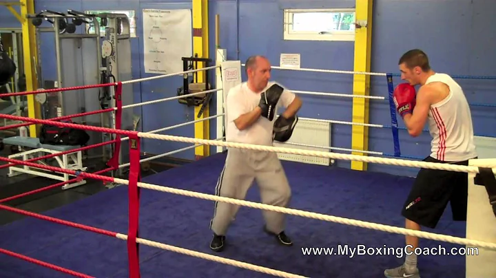 Boxing Lessons on the Focus Mitts