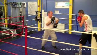 Boxing Lessons On The Focus Mitts