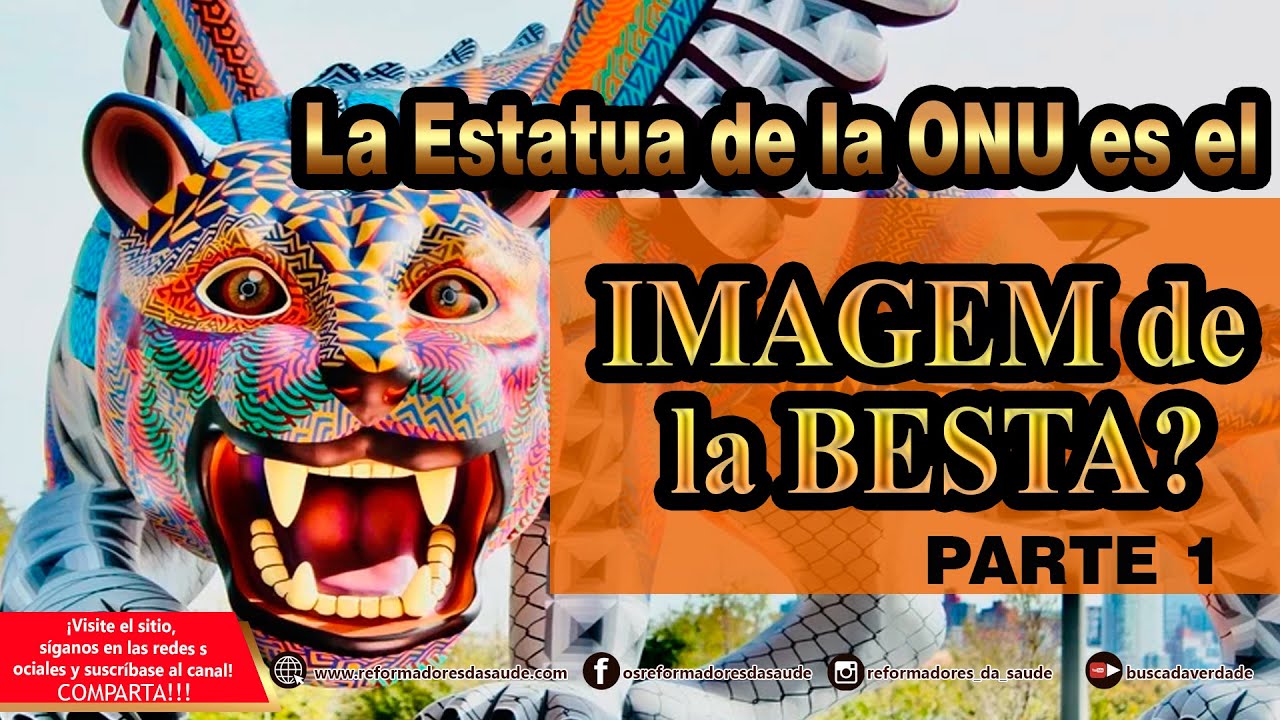 Vídeo: 