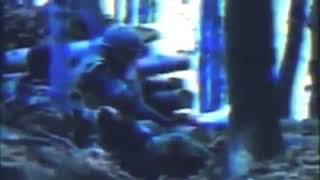 Arbih - Odred El-Mudžahid Džihad U Bih