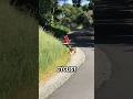 Watch What Happens When This Deer Sees She’s Being Filmed!