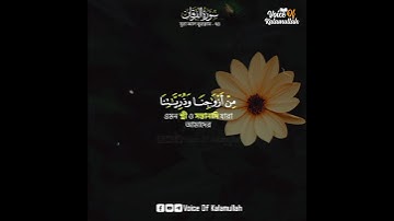 سوره فرقان | آیه - 74 | زیرنویس Bangla | تلاوت قرآن کریم | صدای کلام الله | آیه