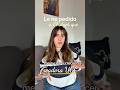 Le he pedido a ChatGPT que me ayude a crecer como creadora UGC, ¿funcionará?