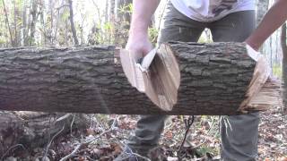 Busse Basic 11 (B11) Asym - 6 trunk (HD)